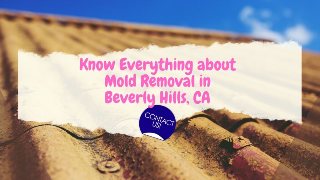 Mold Removal in Beverly Hills CA